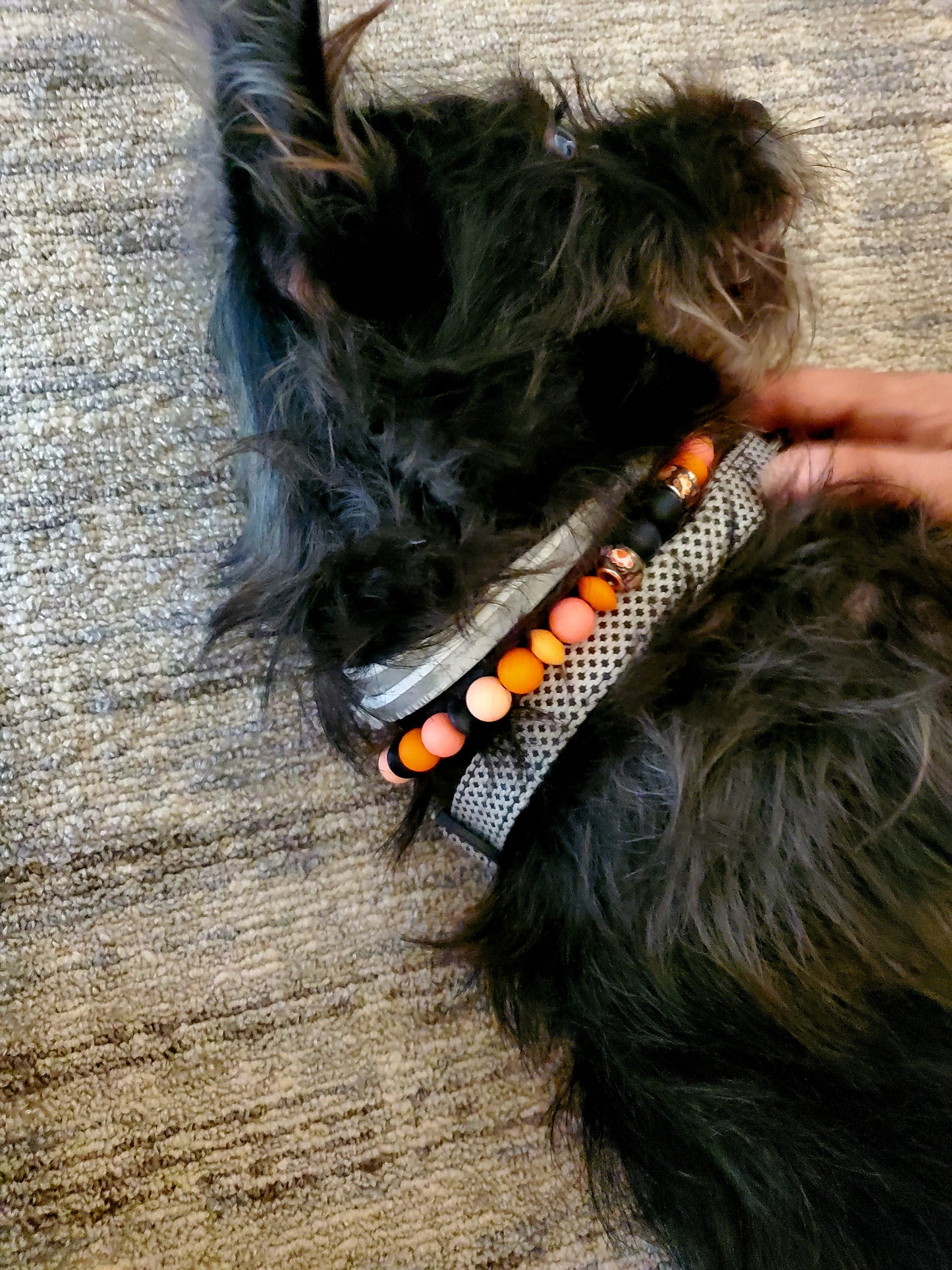 Venus Glam by Cardona Doggie Beaded Necklace